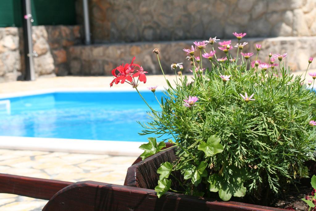 Apartments Petricic With Swimming Pool Ičići Dış mekan fotoğraf